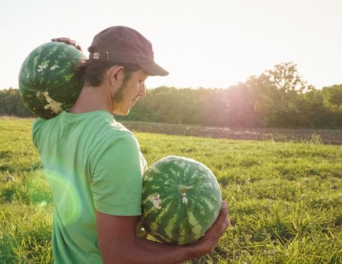Young male holding two watermelons